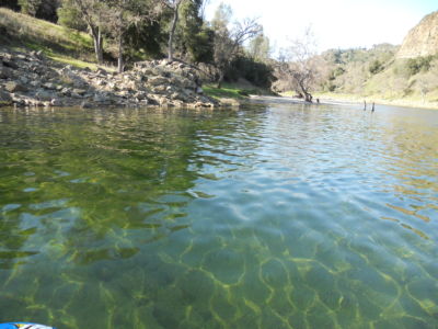 Crystal clear waters of Lake Nacimiento
