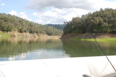 Great bass fishing in the Nacimiento coves